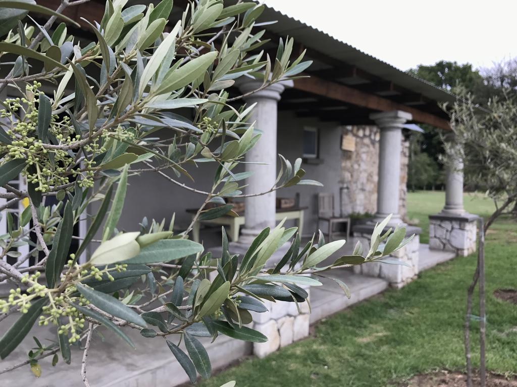 Готель Florence Guest Farm Chrissiesmeer Екстер'єр фото